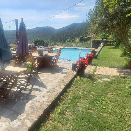 Le Mercou en Cévennes Saint-Martin-de-Boubaux Exterior foto