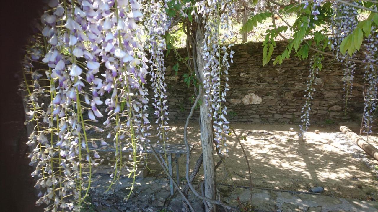 Le Mercou en Cévennes Saint-Martin-de-Boubaux Exterior foto
